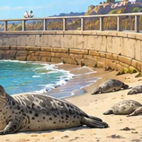 Harbor seals resting on the sand below a curved seawall.